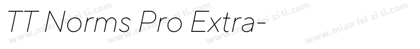 TT Norms Pro Extra字体转换